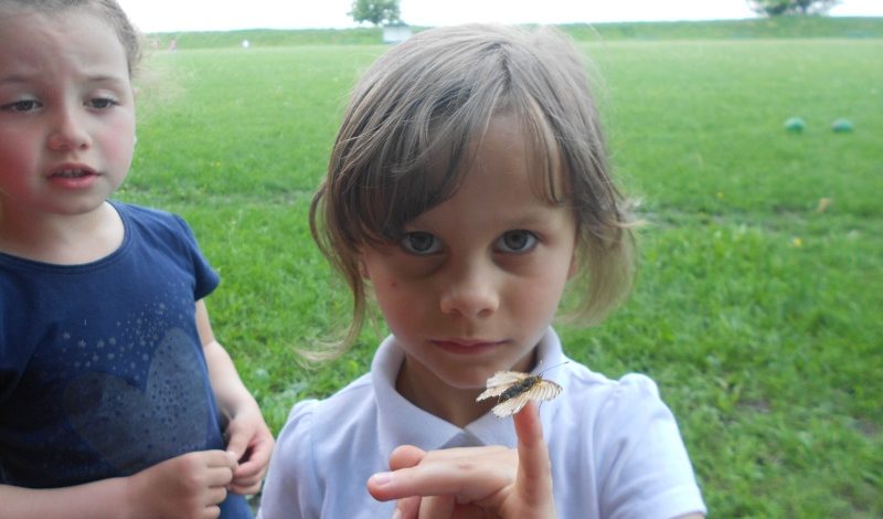 День біологічного різноманіття!