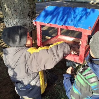 80300573_590910898332434_8205630560555499520_n