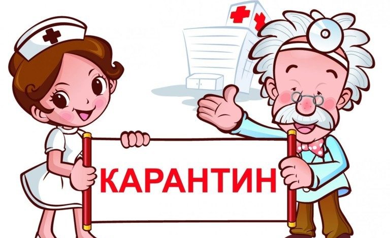 Проводимо карантин з користю