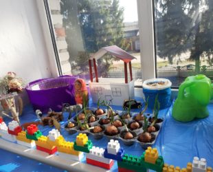 89472034_298004881162904_3636827896498094080_n