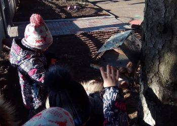 130093812_1330839057254309_1813960365459532430_o