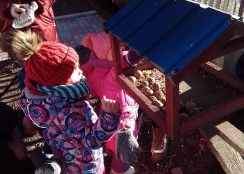 130184728_1330838963920985_8187149595908847607_o