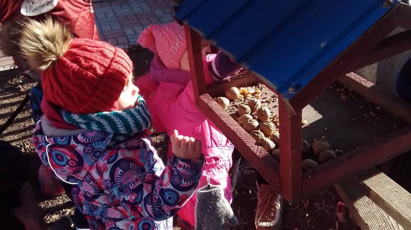 Загальнодержавна Акція «Нагодуй птахів взимку»
