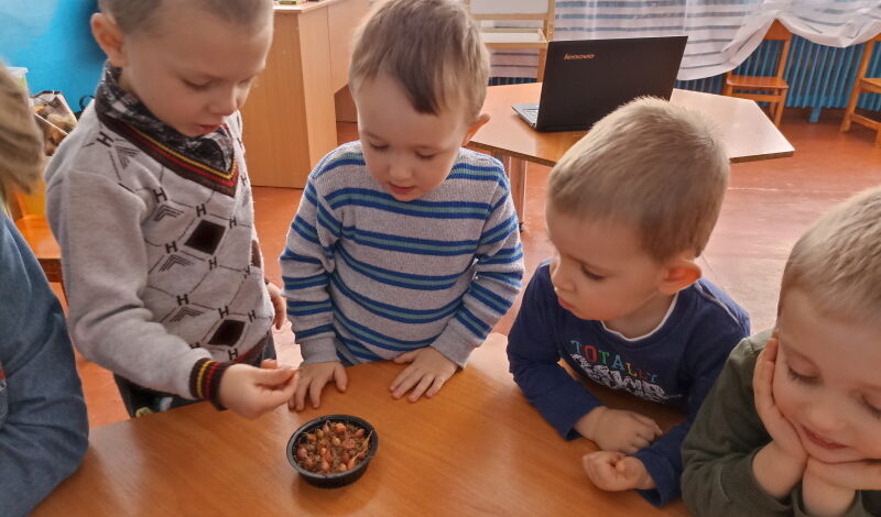 На дворі ще зима, а на підвіконні нашої групи вже весна