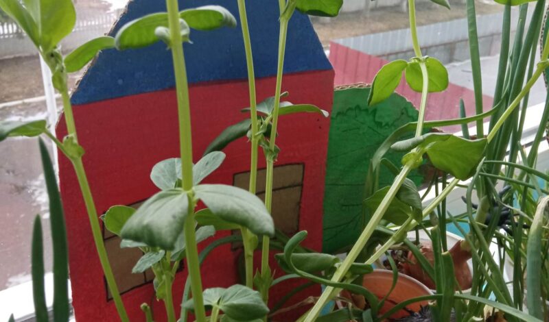 273997445_345685714115199_1858794177766819671_n