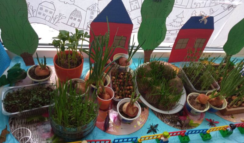 274028221_655085685829966_2161102676300909950_n