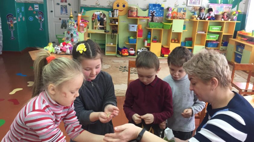 Зелена радість на підвіконні