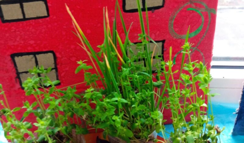 274127770_3099179980326769_7880997312363032683_n