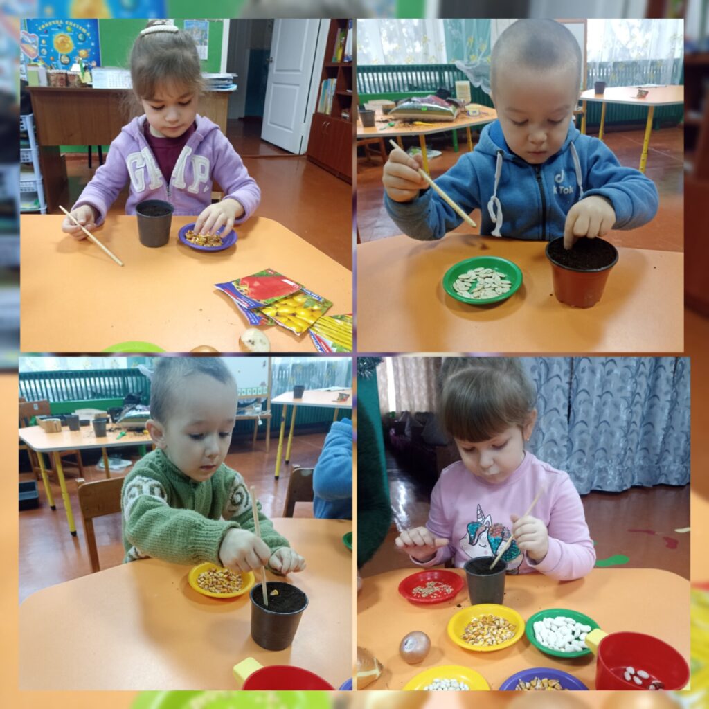 Город на підвіконні