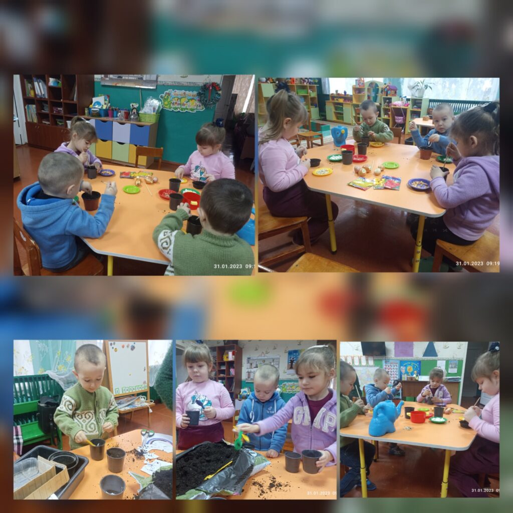 Город на підвіконні