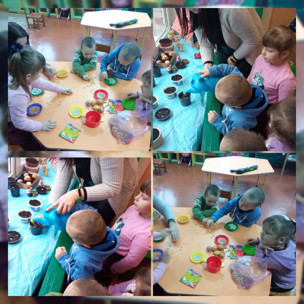 Город на підвіконні