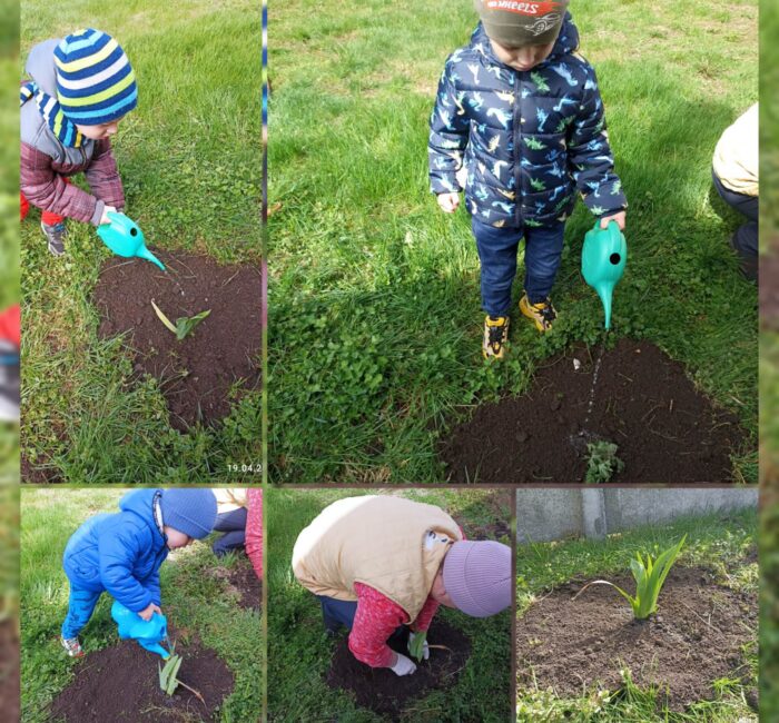 yzobrazhenye_viber_2023-05-01_08-47-56-154