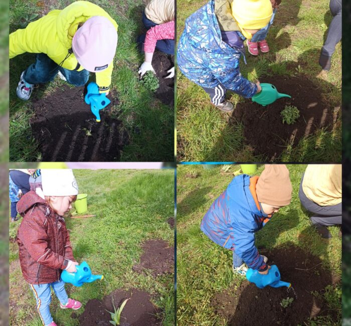 yzobrazhenye_viber_2023-05-01_08-47-56-244